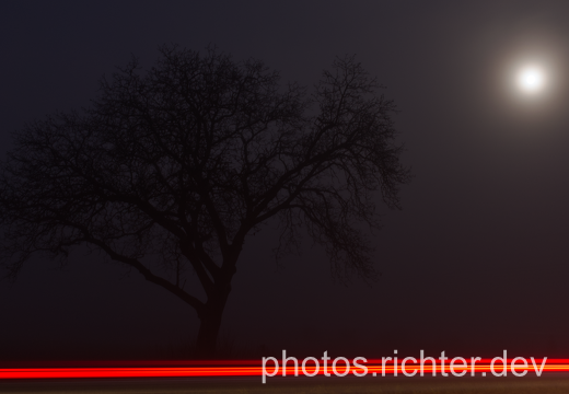 DSC 0017