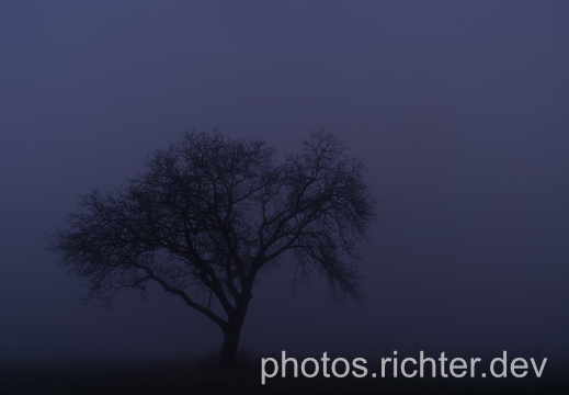 DSC 0002