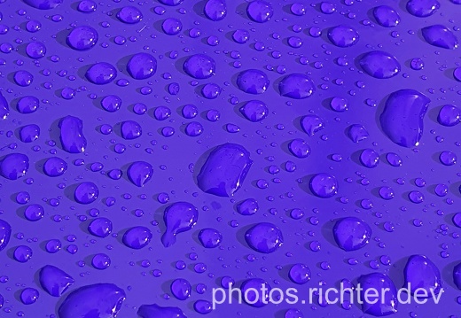 wp-darkblue