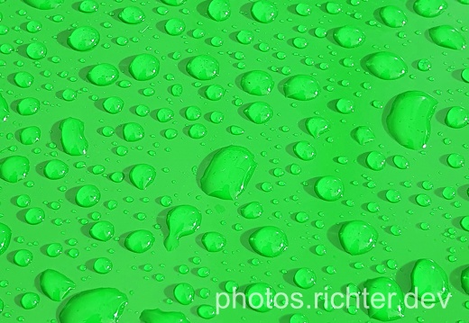 wp-darkgreen