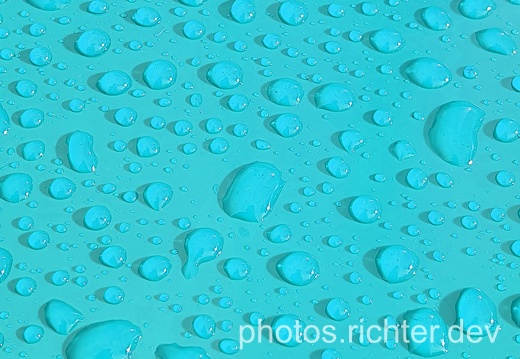 wp-lightblue