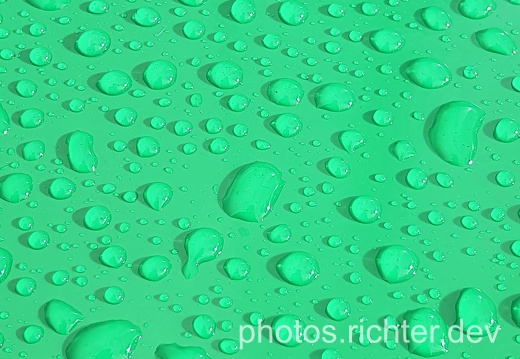wp-lightgreen