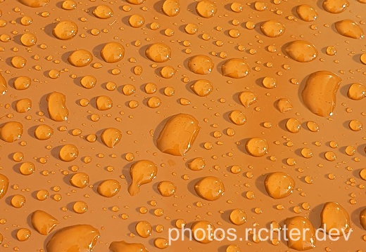 wp-orange