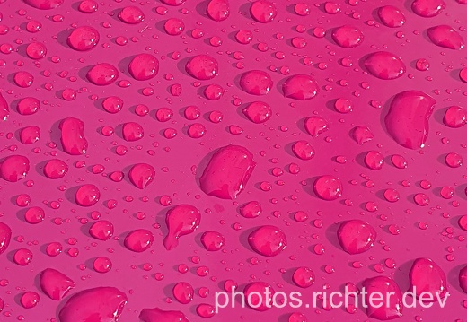 wp-pink