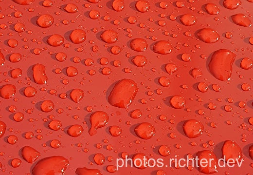 wp-red