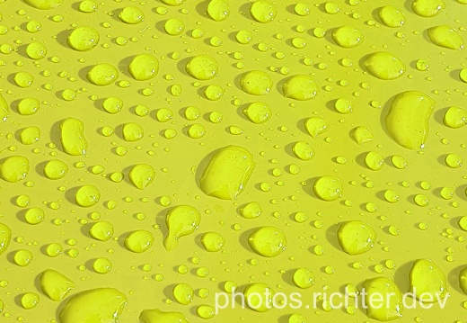 wp-yellow