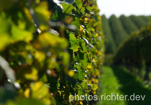 Landschaft